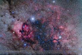 Attēlu rezultāti vaicājumam “Cygnus”