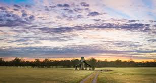 Image result for Brentwood Tc