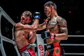 Image result for seppi tehron