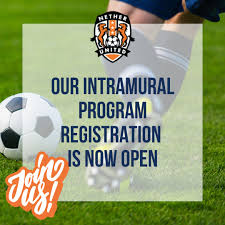 Image result for Netherne Community Amateur Sports Club