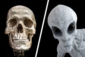 Image result for elongated skulls