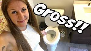 Image result for german toilet