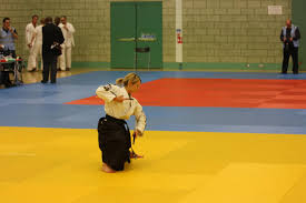 Image result for British Jujitsu Ryu