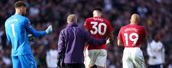 Image result for Manunitid