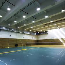 Image result for Icarus Badminton Club