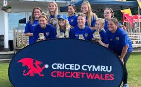 Image result for Bronwydd Cricket Club