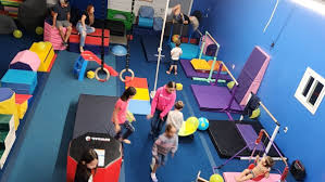 Image result for Fish trampoline and gymnastics club