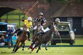 Image result for Cowdray Park Polo Club