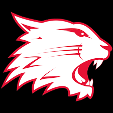 Image result for Swindon Panthers