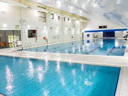 Image result for Kingsbridge Kingfishers Swimming Club