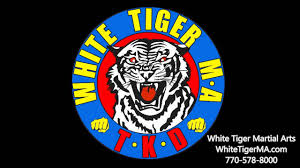 Image result for White Tiger Martial Arts