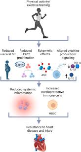 Image result for Sheffield Keep Fit Association