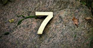 Image result for 7!!