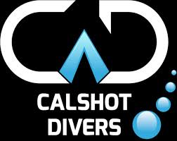 Image result for Southampton University Sub-Aqua Club