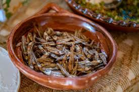 Attēlu rezultāti vaicājumam “Charales”