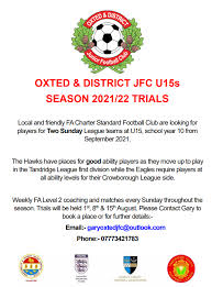 Image result for Oxted & District Junior Fc