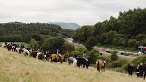 Image result for Fife Riding Club
