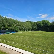 Image result for Plaskynaston Bowling Club