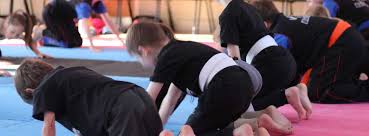 Image result for Blackpool Karate & Kickboxing Club