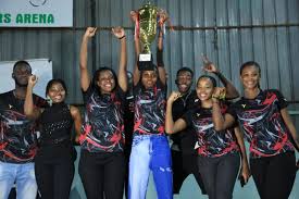 Image result for Tag Badminton Club