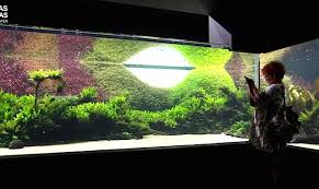 Znalezione obrazy dla zapytania takashi amano%