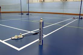 Image result for Phoenix Junior Badminton Club