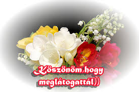 http://t0.gstatic.com/images?q=tbn:ANd9GcQ-GqoKTBKDoK-R7rAT8VB39RdW3s4mao3w1dTQiLSVcuw22rI&t=1&usg=__5bFYsRZzMqak-Q3X52phZ3OMaS8=
