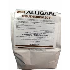 Image result for agrobellon tehron