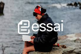 Image result for essai