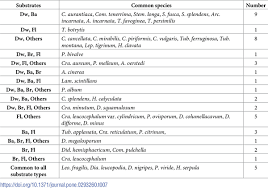 Attēlu rezultāti vaicājumam “Stemonitopsis hyperopta var. landewaldii spores”