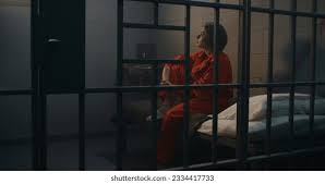 Image result for prisoner