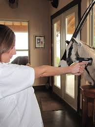 Image result for Bullet Lodge Rifle Club