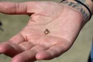 Arkansas man finds 9 carat diamond at Crater of Diamonds State ...