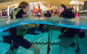 Image result for Aberystwyth University Octopush club