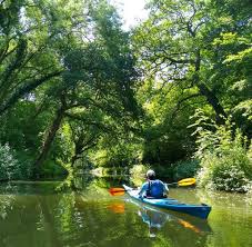 Image result for Basingstoke Canal Canoe Club