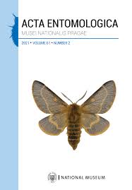 Attēlu rezultāti vaicājumam “Scaphisoma sp.”