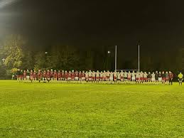 Image result for Ruislip Rfc