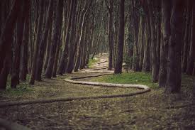 Image result for Crosby Scout and Guide Marina Club