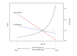 Image result for  v    q