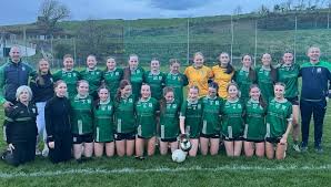 Image result for Patrick Sarsfield Gaelic Athletic Club