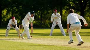 Image result for Halstead Cricket Club