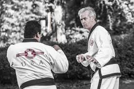 Image result for Chichester Tae Kwon Do