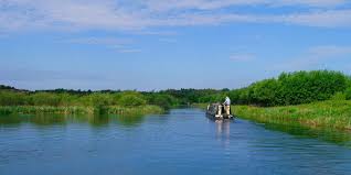 Image result for Basingstoke Sc