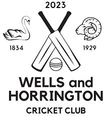 Image result for Wells Cricket Club