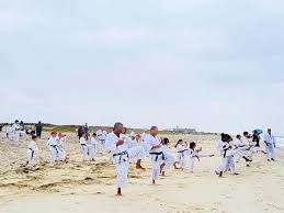 Image result for Beeches Martial Arts
