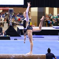 Image result for Arabian School Of Gymnastics