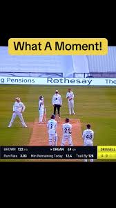 Image result for St Cross Symondians Cricket Club