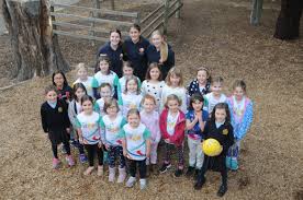 Image result for pulborough netball club