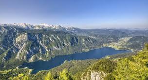 Image result for vogel