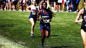 Image result for Lincoln Triathlon Club